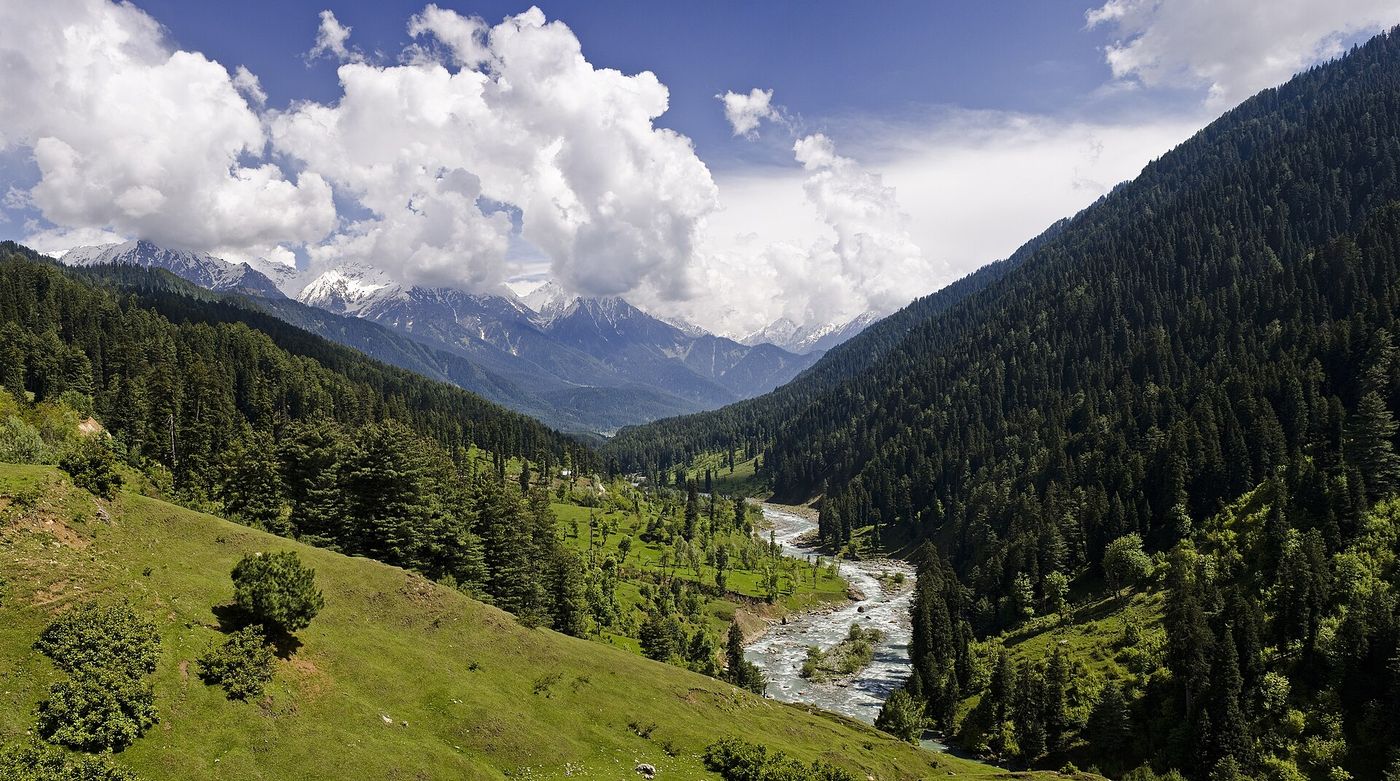 The green Pahalgam valley with a winding river
