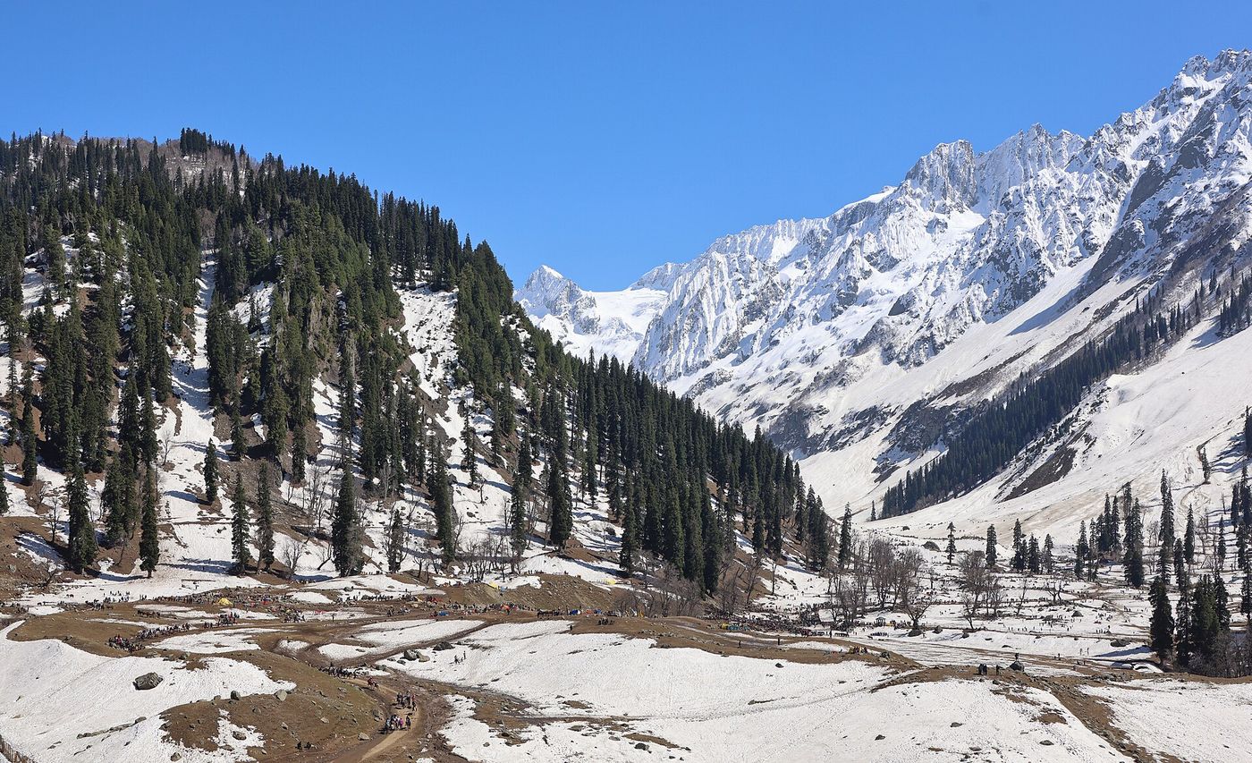 Snow-dusted pine slopes above Thajiwas meadow, Sonamarg